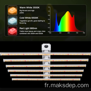 1000 meilleures lumières de croissance de plante à LED intérieure